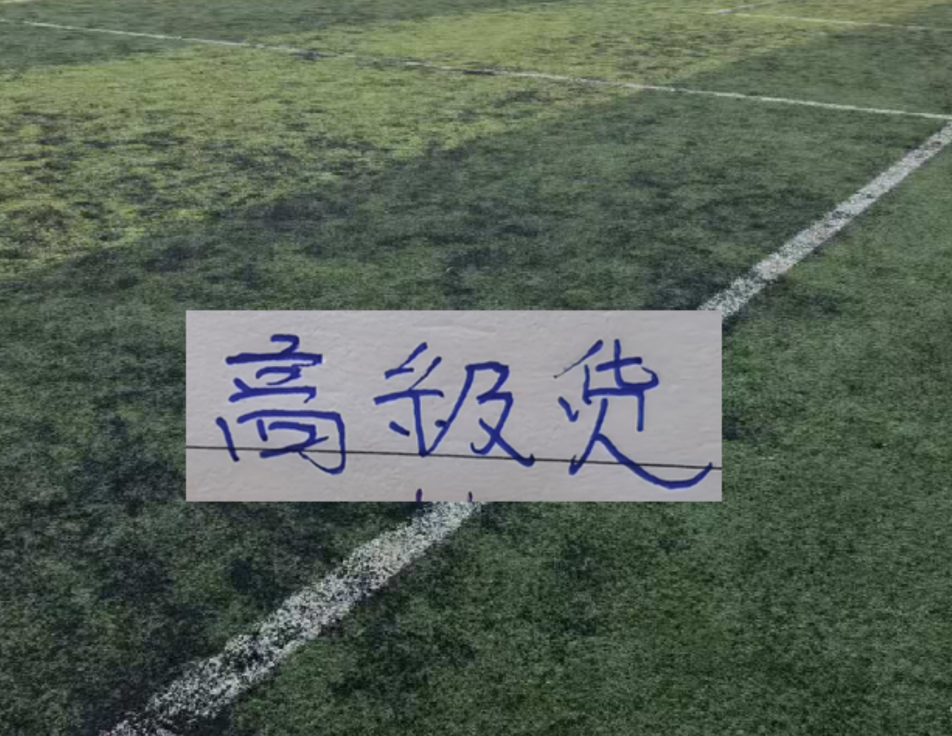 开云运营管理部-中超前15轮 各队代表球星！大连马莱莱打出身价